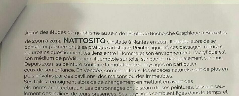 Document avec biographie de Nattosito