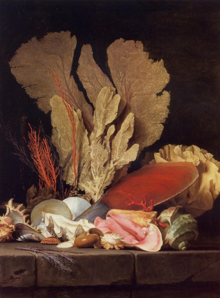 Nature morte représentant des coquillages et coraux de Anne Vallayer-Coster