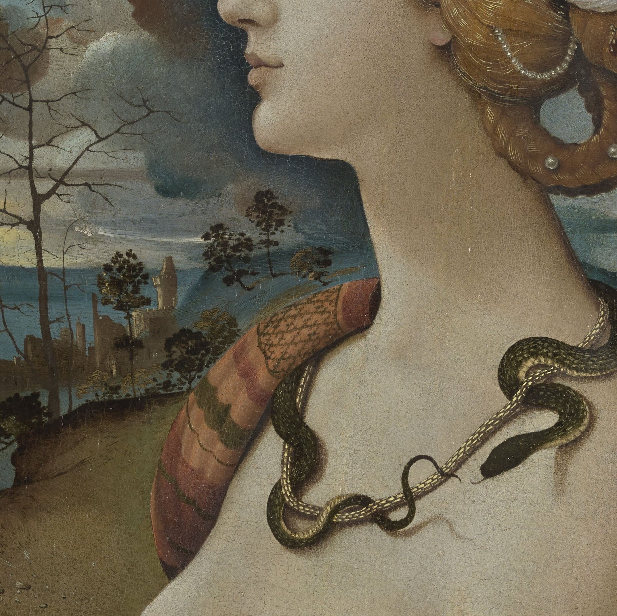 Portrait de Simonetta Vespucci vue de profil devant un paysage